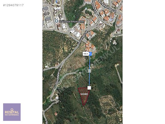 MUDANYA İMARA SINIR MUSABEY'DE SATILIK ZEYTİNLİK