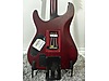 Schecter Elektro Gitar