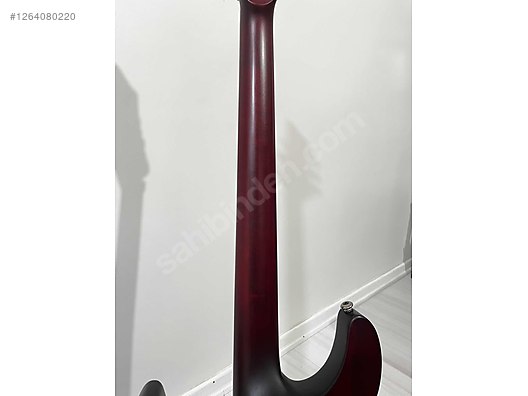 Schecter Elektro Gitar