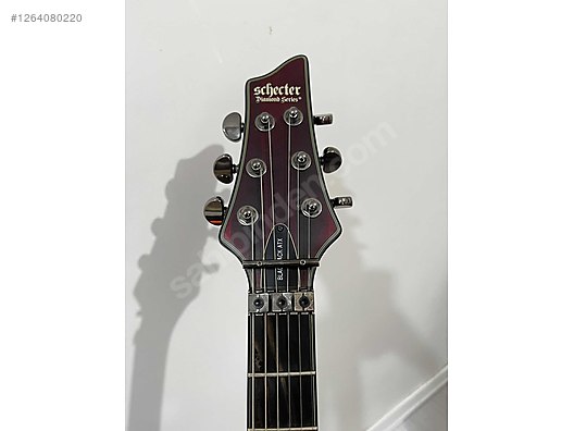 Schecter Elektro Gitar