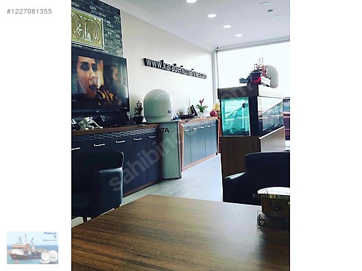 İkinci El ve Sıfır Alışveriş / Spor / Doğa Sporları / Kampçılık & Outdoor / Yön Bulma Malzemeleri