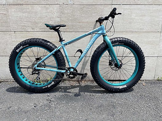 giant momentum fat bike