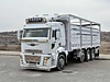 Satılık Ford Trucks Trucks