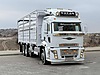 Ford Trucks Trucks