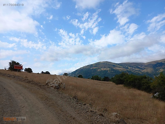Amasya merkez kızılkışlacık köyünde satılık tarla Satılık Arsa