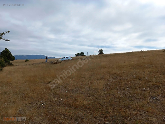 Amasya merkez kızılkışlacık köyünde satılık tarla Satılık Arsa