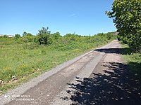 koyler kiralik arsa ilanlari ve fiyatlari sahibinden com da koyler kiralik arsa ilanlari ve fiyatlari sahibinden com da