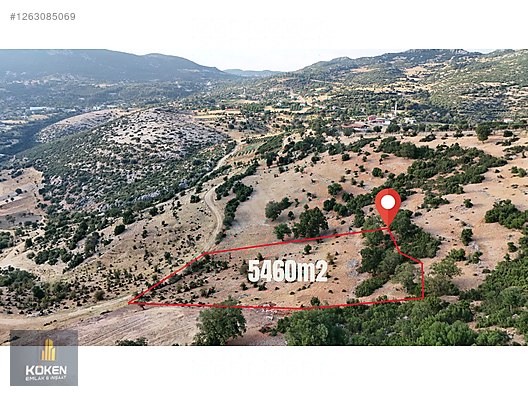 kuşbabada manzaralı 5460m2 #1263085069