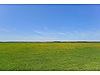 BURSA KEMALPAŞA YEŞİLOVA MAHALLESİ HARİKA KONUMDA 6350m2 TARLA