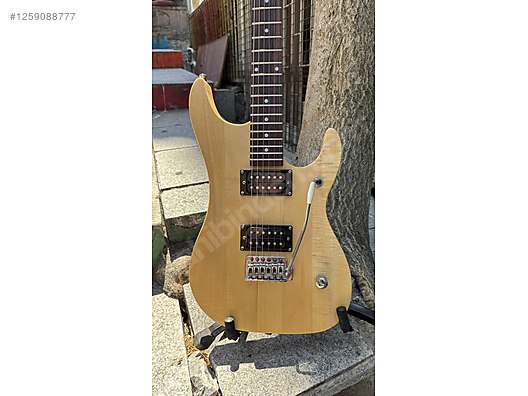 Washburn Elektro Gitar