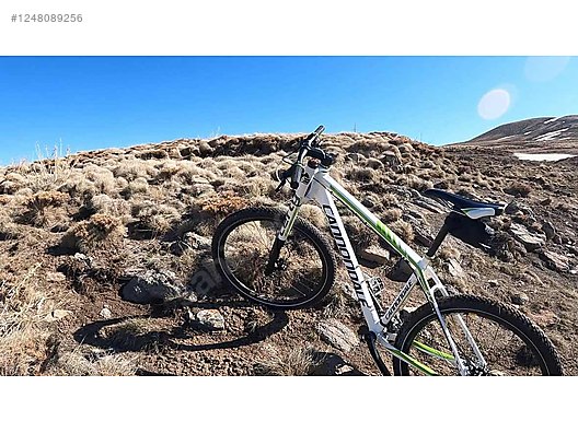 Cannondale lefty 1248089256