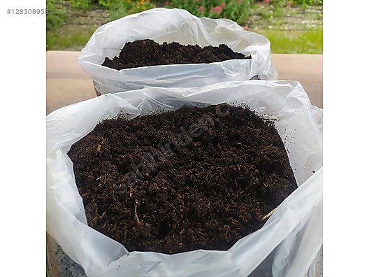 Pets & Livestock / Reptiles / Earthworm