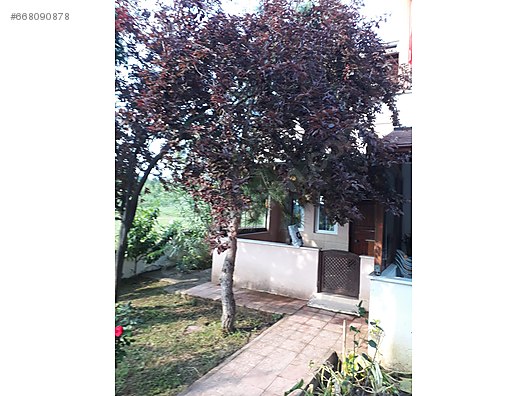 Sahibinden 2+1, 100 m² Satılık Yazlık 220.000 TL�ye
