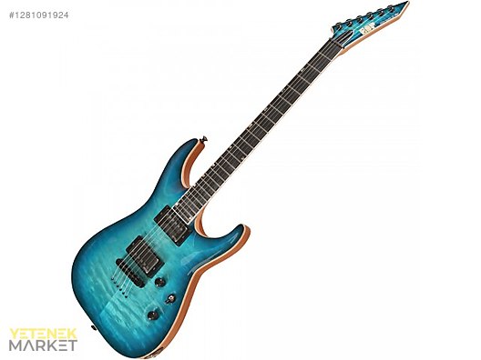 ESP Elektro Gitar