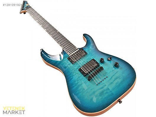 ESP Elektro Gitar