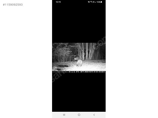 İkinci El ve Sıfır Alışveriş / Fotoğraf & Kamera / Video Kamera / Dijital Kamera / SD, MS Karta Kayıt