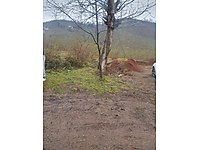 ordu satilik arsa ilanlari ve fiyatlari sahibinden com da 7 ordu satilik arsa ilanlari ve fiyatlari sahibinden com da 7