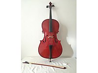 Çello/Viyolonsel
