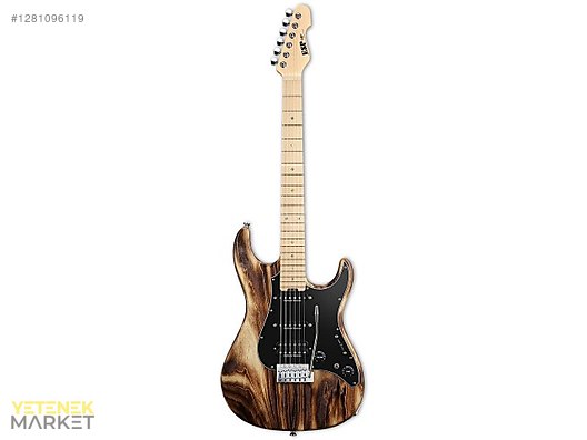 ESP Elektro Gitar