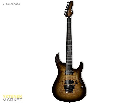 ESP Elektro Gitar