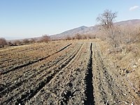 tokat satilik arsa ilanlari ve fiyatlari sahibinden com da 4 tokat satilik arsa ilanlari ve fiyatlari sahibinden com da 4