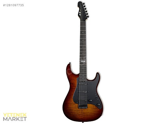 ESP Elektro Gitar