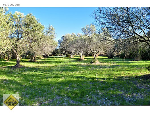 cesme mamurbaba bolgesi kizilkaya mevkii de uygun satilik tarla satilik arsa ilanlari sahibinden com da 877097966 cesme mamurbaba bolgesi kizilkaya mevkii de uygun satilik tarla satilik arsa ilanlari sahibinden com da 877097966