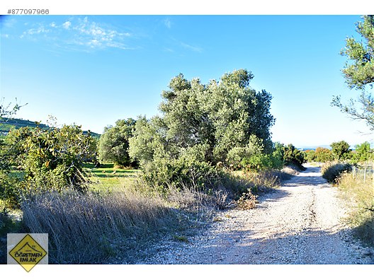 cesme mamurbaba bolgesi kizilkaya mevkii de uygun satilik tarla satilik arsa ilanlari sahibinden com da 877097966 cesme mamurbaba bolgesi kizilkaya mevkii de uygun satilik tarla satilik arsa ilanlari sahibinden com da 877097966