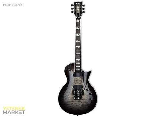 ESP Elektro Gitar