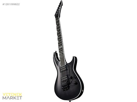 ESP Elektro Gitar