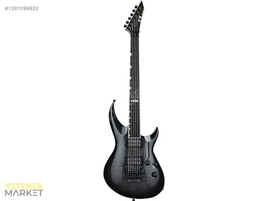 ESP Elektro Gitar