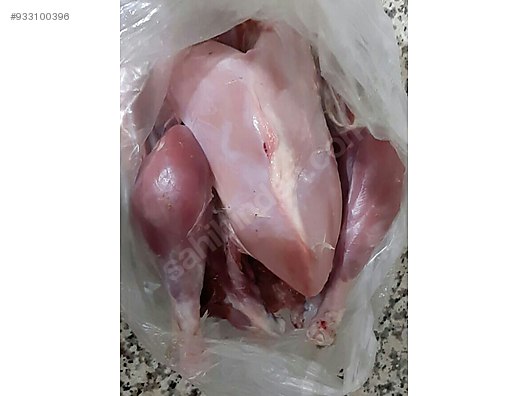 White Meats Bresse Kesilmis Tavuk Ankara Ici At Sahibinden Com 933100396 White Meats Bresse Kesilmis Tavuk Ankara Ici At Sahibinden Com 933100396