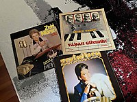 3 Adet Yerli Plak Kapağı Lotu (Zeki Müren, Yaşar Güvenir)