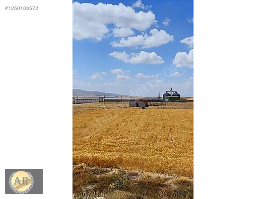 ** AR EMLAK ** BÜNYAN KÖPRÜBAŞINDA SATILIK TARLA İMAR İÇİ #1250103572