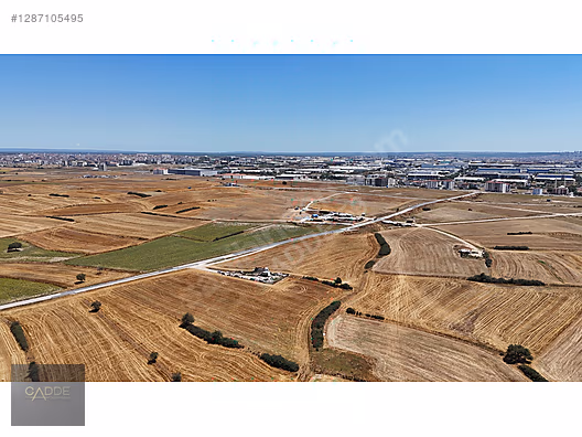 KAPAKLI YANIKAĞIL MAHALLESİ 6.250M2 TEK TAPU SATILIK TARLA #1287105495