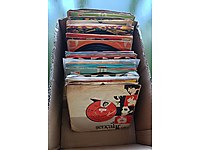 100 ADET DÖNEM BASKI 45'LİK PLAK