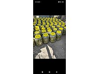 Salamura yaprak tursu