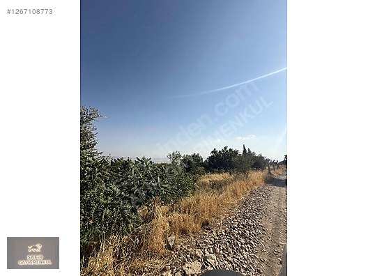 SAFİR DEN ULUTAŞ DA SATLIK BAĞ #1267108773