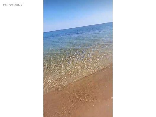 İkinci El ve Sıfır Alışveriş / Bahçe & Yapı Market / Toplu Satış