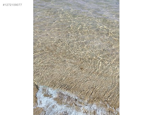 İkinci El ve Sıfır Alışveriş / Bahçe & Yapı Market / Toplu Satış