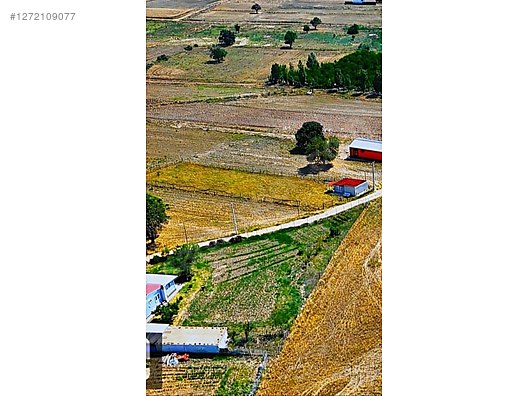 İkinci El ve Sıfır Alışveriş / Bahçe & Yapı Market / Toplu Satış