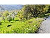 ANTALYA AKSEKİ CEVİZLİ'DE 805 m2 SATILIK TARLA