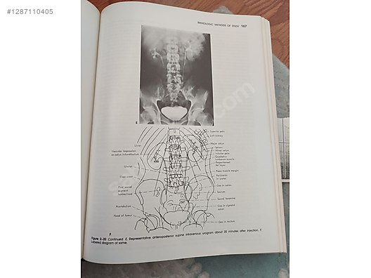 İkinci El ve Sıfır Alışveriş / Kitap, Dergi & Film / Kaynak & Bilgi Kitapları / Sağlık & Tıp