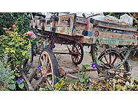 Nostaljik At Arabası 24 kasımda ilandan kalkıyor