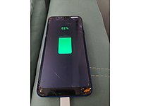 Reeder P13 Blue MaxL 2022