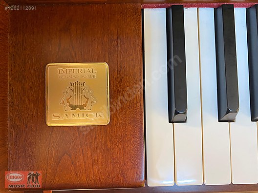 İkinci El ve Sıfır Alışveriş / Müzik / Müzik Aletleri / Tuşlu Çalgılar / Piyano