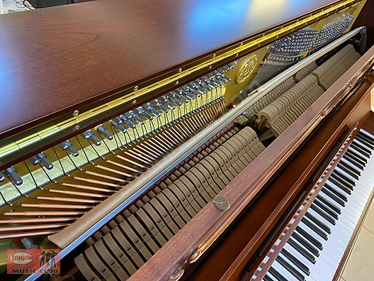 İkinci El ve Sıfır Alışveriş / Müzik / Müzik Aletleri / Tuşlu Çalgılar / Piyano