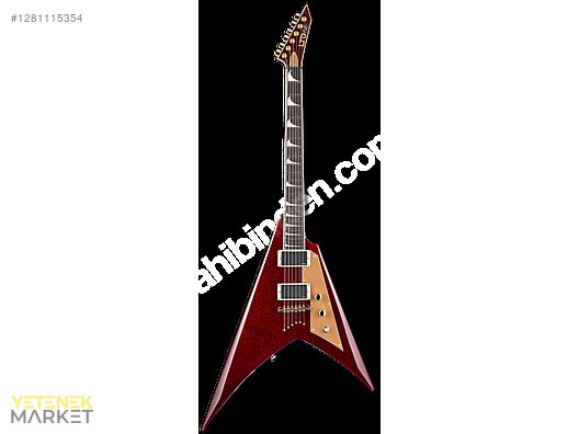 ESP Elektro Gitar