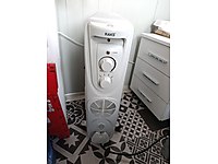 Raks ısıtıcı yağlı petek 10 dilim