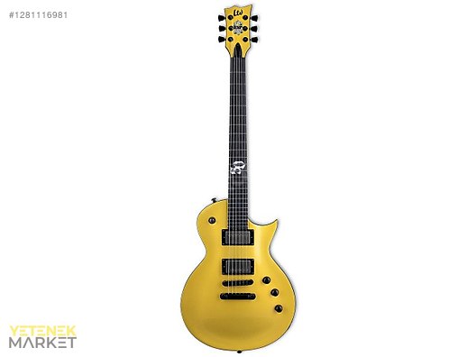 ESP Elektro Gitar